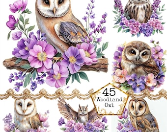 JPEG Watercolor Cute Floral Owl Clipart Bundle Woodland Clipart Watercolor Commercial Instant Download Paper Craft Junk Journal Scrapbooking