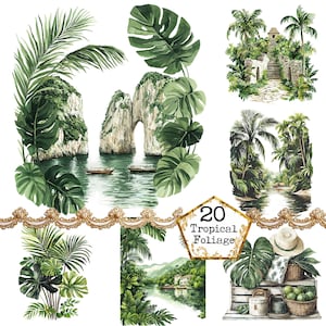 Puede incluir: Una descarga digital de 20 ilustraciones de acuarela de follaje tropical, incluyendo palmeras, hojas de monstera y otras plantas exuberantes. Las ilustraciones son perfectas para agregar un toque tropical a tus diseños.