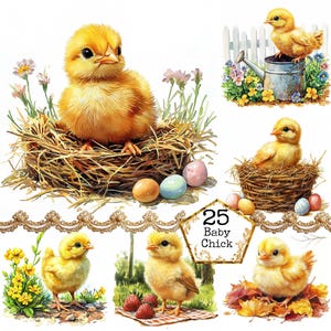 JPEG Aquarell Küken Clipart Bundle süß Bauernhof Baby Küken kommerzielle Sofort-Download Papier Handwerk Junk Journal Scrapbooking