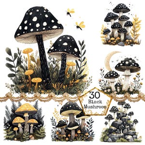 PNG + JPEG Aquarelle forêt champignon Clipart Bundle Champignons magiques Woodland Image Téléchargement instantané Papier Artisanat Junk Journal Scrapbooking