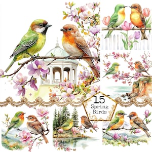 JPEG Aquarell Frühlingsvögel Clipart Bundle Floral Vogel Frühlingsblumen Kommerzielle Nutzung Sofort Download Papier Handwerk Junk Journal Scrapbooking
