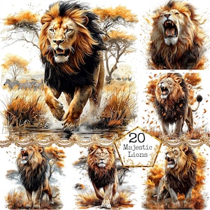 Pacote de clipart de leão majestoso em aquarela JPEG Animal africano Safari Animal Clipart Download instantâneo Papel Artesanato Junk Journal Scrapbooking