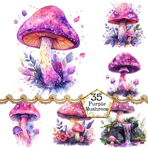 PNG + JPEG Aquarelle forêt champignon Clipart Bundle Champignons magiques Woodland Image Téléchargement instantané Papier Artisanat Junk Journal Scrapbooking