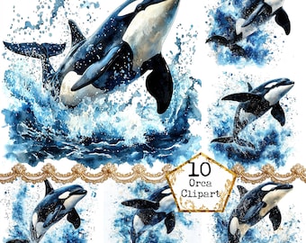 JPEG Watercolor Orca Clipart Bundle  Ocean Wave Clipart Summer Clipart Sea Animal Instant Download Paper Crafts Junk Journal Scrapbooking