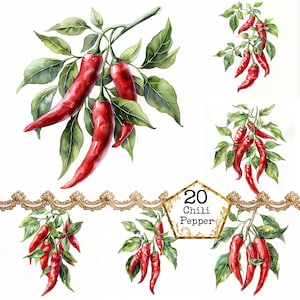 JPEG Aquarell rote Chili Paprika Clipart Bundle Kommerzielle Nutzung Gemüse Clipart Sofortiger Download Papier Handwerk Junk Journal Scrapbooking
