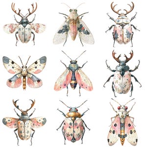 a bunch of bugs that are on a white surface