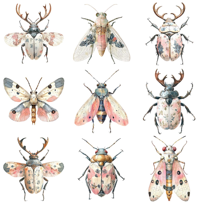 a bunch of bugs that are on a white surface