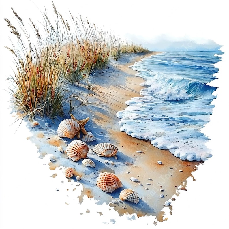 a painting of seashells on a sandy beach