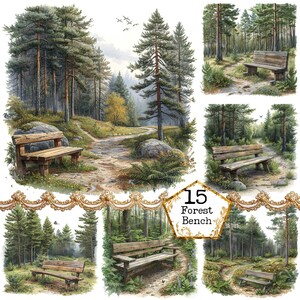 Könnte beinhalten: Fünf Bilder von Holzbänken in einer Waldlandschaft. Die Bänke sind alle aus Naturholz gefertigt und haben einen rustikalen Look. Die Waldszenen sind in einem realistischen Stil mit grünen Bäumen, braunen Erdwegen und blauem Himmel gemalt.