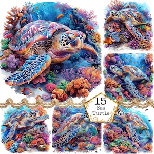 JPEG acuarela tortuga de agua en un paquete de imágenes prediseñadas de arrecife JPEG océano animal clipart descarga instantánea artesanías de papel diario basura scrapbooking