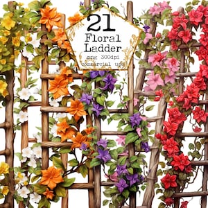 PNG bloementuin ladders PNG tuin clipart bundel formaat Instant Download papier ambachten ongewenste dagboek scrapbooking commercieel gebruik