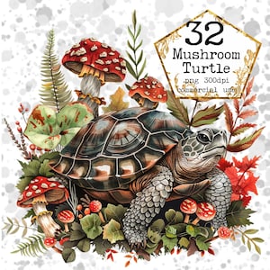 Bundle de cliparts champignons aquarelle rouge PNG Champignons toxiques aquarelle forêt Art Fantasy Clipart, Bundle de champignons PNG, clipart magique