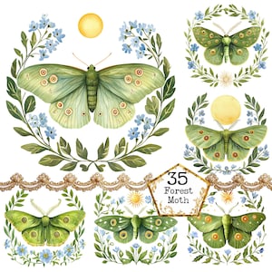 PNG + JPEG Aquarell Wald Motte Clipart Bundle Frühling Clipart mystische Motten Art Instant Download Papier Handwerk Junk Journal Scrapbooking