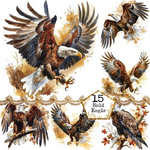JPEG Eagle Clipart Bald Eagle Watercolor clipart Bundle JPEG Commercial Use Bird Instant Download Paper Crafts Junk Journal Scrapbooking