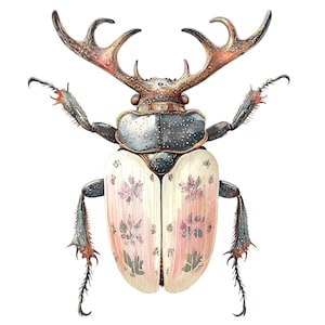 a drawing of a bug with antlers on it's back