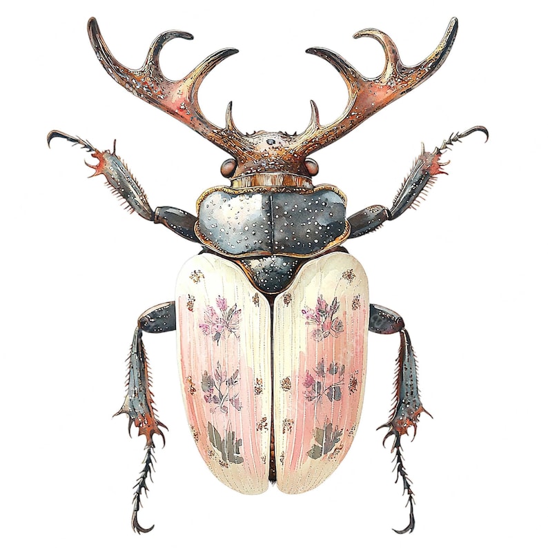 a drawing of a bug with antlers on it's back
