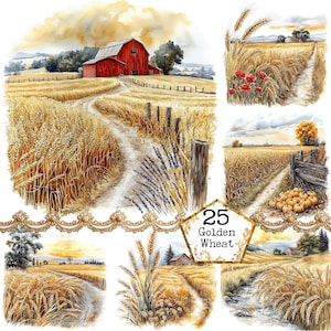Könnte beinhalten: Aquarellillustrationen von Weizenfeldern und einer roten Scheune. Die Bilder zeigen ländliche Landschaften mit Feldwegen, Zäunen und goldenem Weizen. Ein Bild enthält den Text "25 Golden Wheat". Das Gesamtthema ist eine rustikale, ländliche Ästhetik.