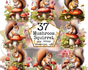 PNG Watercolor Mushroom Squirrel Clipart Bundle Woodland Clipart Commercial Use Instant Download Paper Crafts Junk Journal Scrapbooking