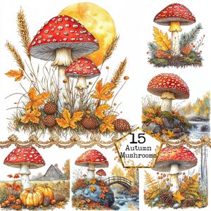 JPEG Vintage Magical Forest Mushroom Clipart Bundle Red Mushroom Watercolor Mushroom Instant Download Paper Crafts Junk Journal Scrapbooking
