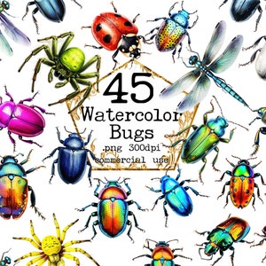 PNG Aquarell Bugs Clipart Bundle Käfer PNG Spinne Marienkäfer Papier Handwerk Junk Journal Scrapbooking Sofort Download