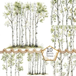 Peut inclure: Illustration à l'aquarelle de bouleaux à l'écorce blanche et aux feuilles vertes. L'image comprend plusieurs arrangements d'arbres, avec une bordure dorée décorative et le texte "10 Birch Trees" dans un cadre doré.
