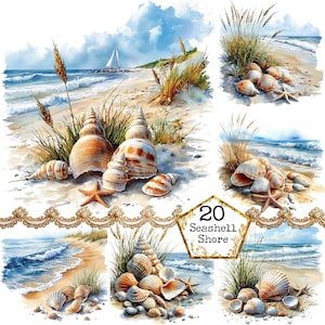 Pacchetto di clipart di conchiglie acquerellate JPEG sulla spiaggia Clipart di spiaggia ricoperta di vegetazione estiva Download istantaneo di carta Artigianato Junk Journal Scrapbooking