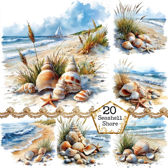 JPEG Watercolor Seashell on the Beach Clipart Bundle Overgrown Beach Summer Clipart Instant Download Paper Crafts Junk Journal Scrapbooking