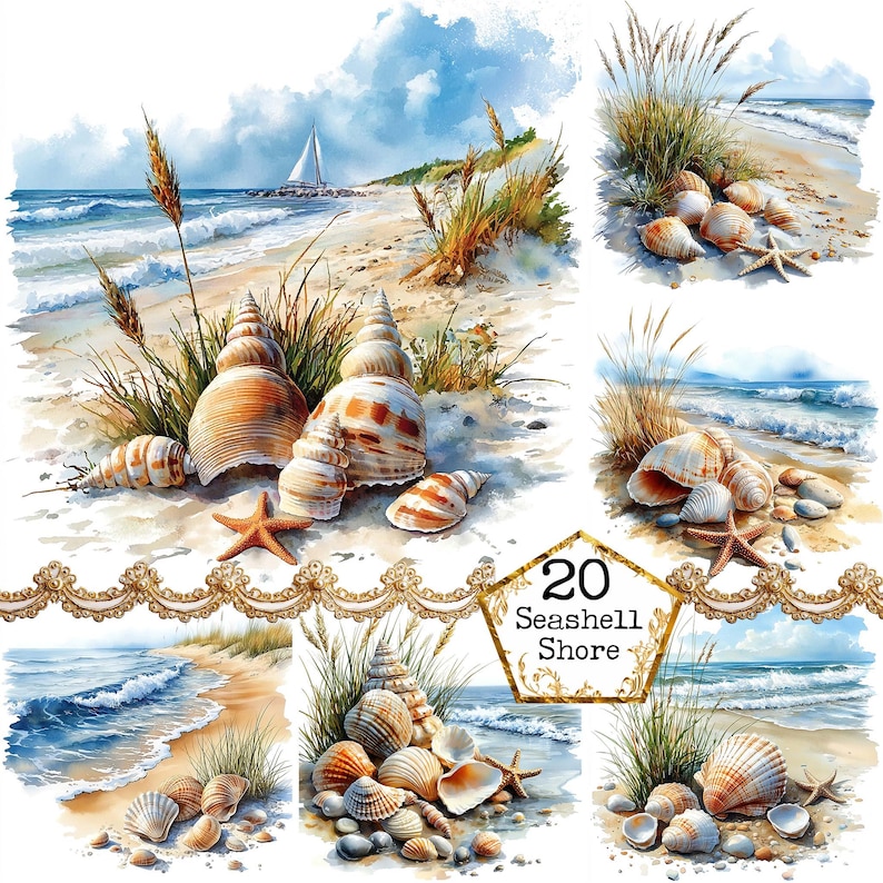 a painting of seashells on a sandy beach