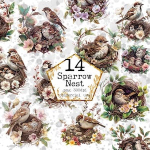 PNG Watercolor Nests Clipart Bundle Watercolor Sparrow PNG Commercial Use Instant Download Paper Crafts Junk Journal Scrapbooking