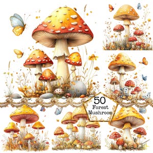 PNG + JPEG Acquerello Foresta Fungo Clipart Bundle Magico Fungo Bosco Immagine Download Istantaneo Carta Artigianato Junk Journal Scrapbooking