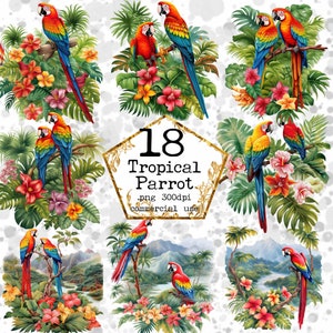 PNG Tropical Parrot Clipart Bundle Exotic Clipart Jungle Clipart para uso comercial Descarga instantánea Paper Crafts Junk Journal Scrapbooking