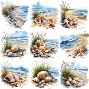 a painting of seashells on a sandy beach