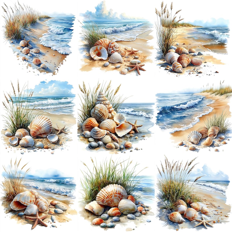 a painting of seashells on a sandy beach