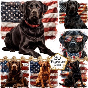 JPEG Labrador neri e bandiera USA sublimazione Design Clipart Bundle Clipart patriottico Download immediato Paper Craft Junk Journal Scrapbooking