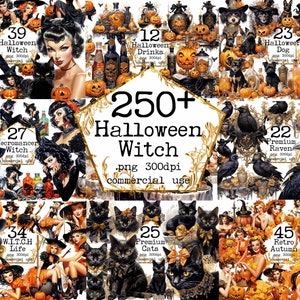 PNG BIG Halloween Witch Clipart Bundle PNG Witches Ravens Black Cats Halloween Drinks Potions and more Magic in this Bundle. Enjoy!!!