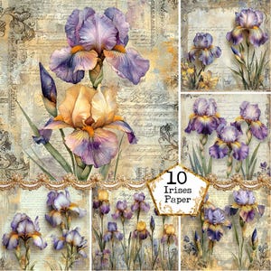 May include: Ten digital paper sheets featuring vintage-style illustrations of purple and yellow irises on a background of faded handwritten text.