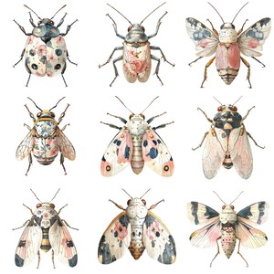 six different types of bugs on a white background