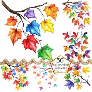 Puede incluir: 50 hojas de acuarela en varios colores, incluyendo rojo, naranja, amarillo, verde, azul y morado. Las hojas están dispuestas en racimos en las ramas y algunas están cayendo.