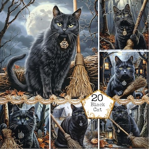 JPEG schwarze Katze mit Pentagramm und Hexenbesen Grafiken druckbare Hintergründe Sofortiger Download Papier Handwerk Junk Journal Scrapbooking