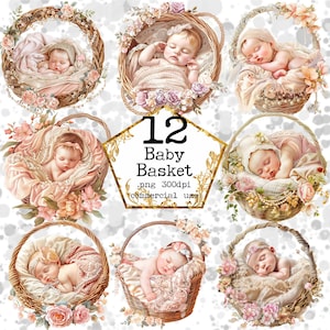 PNG Bebé en una cesta Clipart Bebé Niña Niño Clip Art Vivero Pared Arte Cesta de Pascua Infantil Png Baby Shower Descarga Instantánea Artesanías de Papel