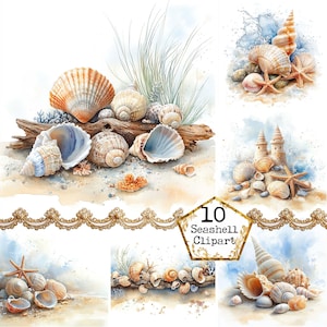 Könnte beinhalten: Eine digitale Collage aus zehn Aquarell-Illustrationen von Muscheln auf einem Strandhintergrund. Die Bilder zeigen verschiedene Muscheln, Seesterne und Sandburgen.