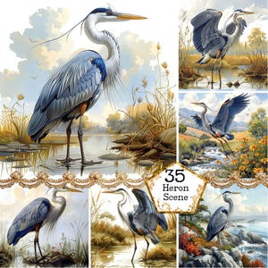 JPEG reiger vogel clipart bundel wild leven achtergronden commercieel gebruik meer clipart instant download papier ambachten ongewenste dagboek scrapbooking