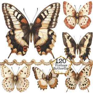 PNG + JPEG Vintage Schmetterling Clipart Bundle Transparente PNG Retro Schmetterling Papierhandwerk Junk Journal Scrapbooking Digitaler Download