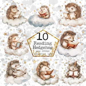 Joli hérisson aquarelle PNG sur un nuage, lecture de cliparts, clipart pour chambre d'enfant, téléchargement immédiat, créations en papier, journal indésirable, Scrapbooking