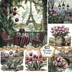 JPEG Watercolor Striped Tulip Graphics Spring Flower Clipart Spring City Floral Image Instant Download Paper Craft Junk Journal Scrapbooking