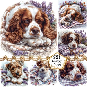 JPEG cane carino assonnato in una coperta pacchetto di clipart JPEG accogliente clipart uso commerciale download immediato artigianato di carta Junk Journal Scrapbooking