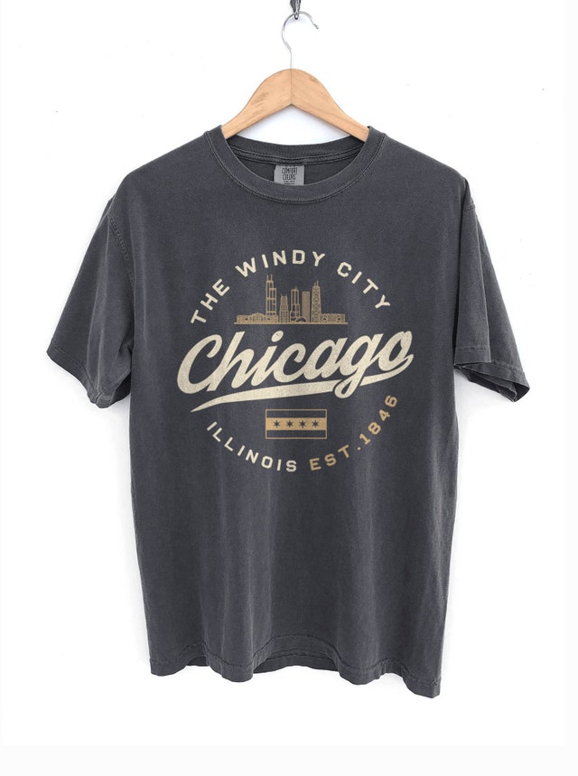 Chicago Skyline Flag T-Shirt - Windy City Tee