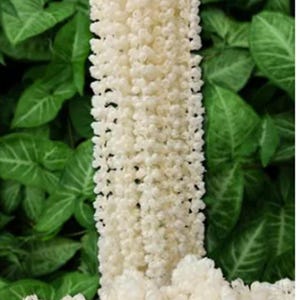 Parete divisoria Nikah Pardah da 7 piedi - Sfondo di fiori artificiali Mogra e gelsomino, decorazione per matrimonio islamico, decorazione per palco Mehndi Nikah (45 ghirlande)
