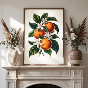 Vintage Floral Oranges Print, Retro Orange Fruit Poster, wall art, Farmhouse Kitchen Decor, Citrus-Themed Print, Rustic Food Wall Decoration