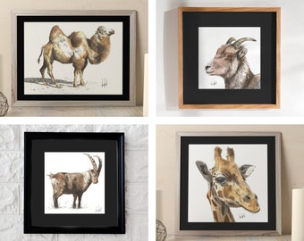 Handmade watercolor illustrations - camel, giraffe, ibex and chamois